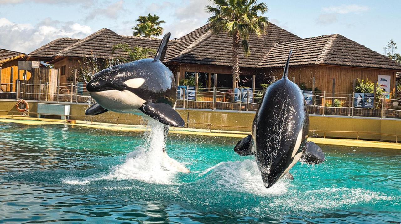 Appartement Marineland Sea View 앙티브 외부 사진
