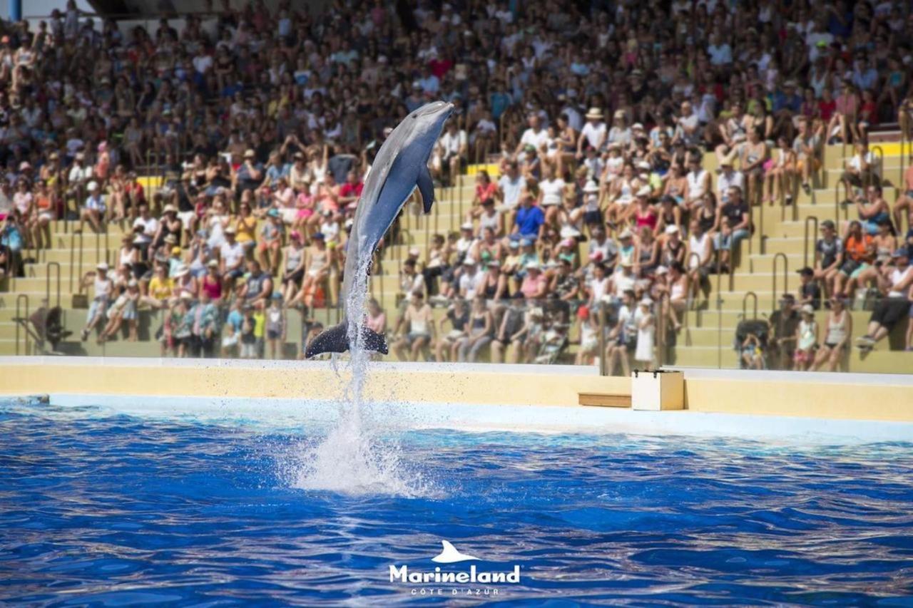 Appartement Marineland Sea View 앙티브 외부 사진