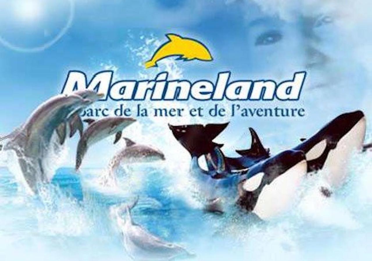 Appartement Marineland Sea View 앙티브 외부 사진